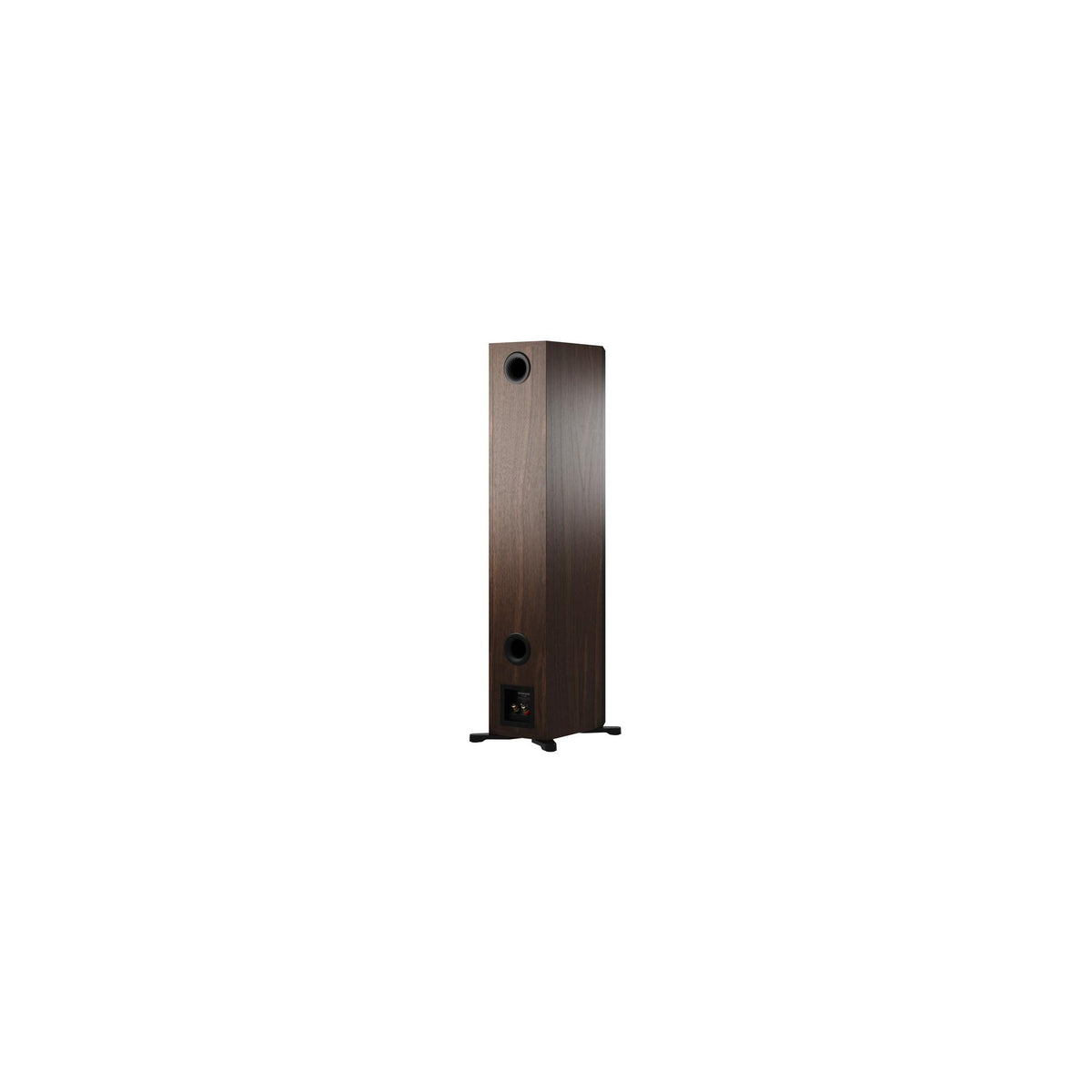 Dynaudio Emit 50, Noce, vista posteriore
