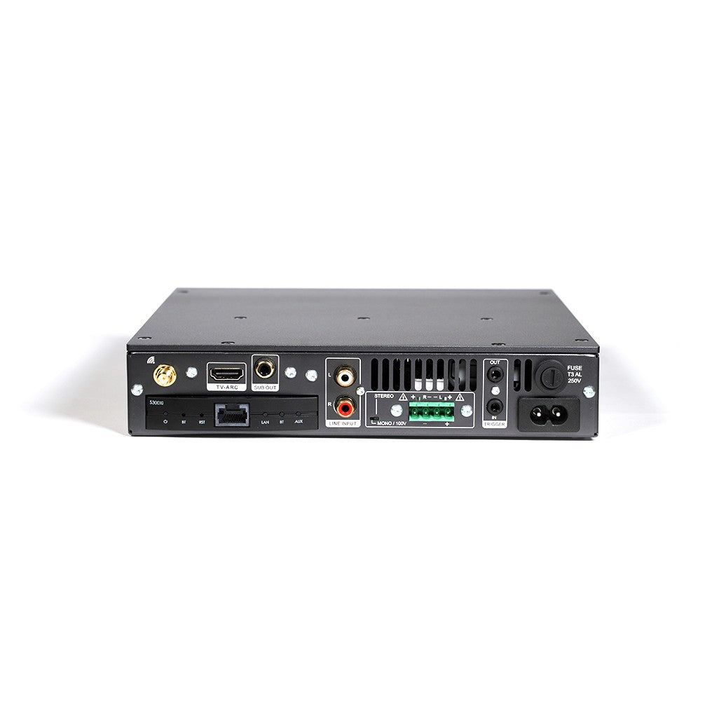 Elipson Connect 2130 Xi, pannello posteriore con le connessioni