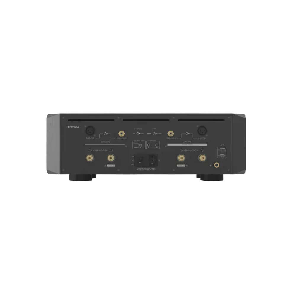 Eversolo AMP-F10, vista posteriore