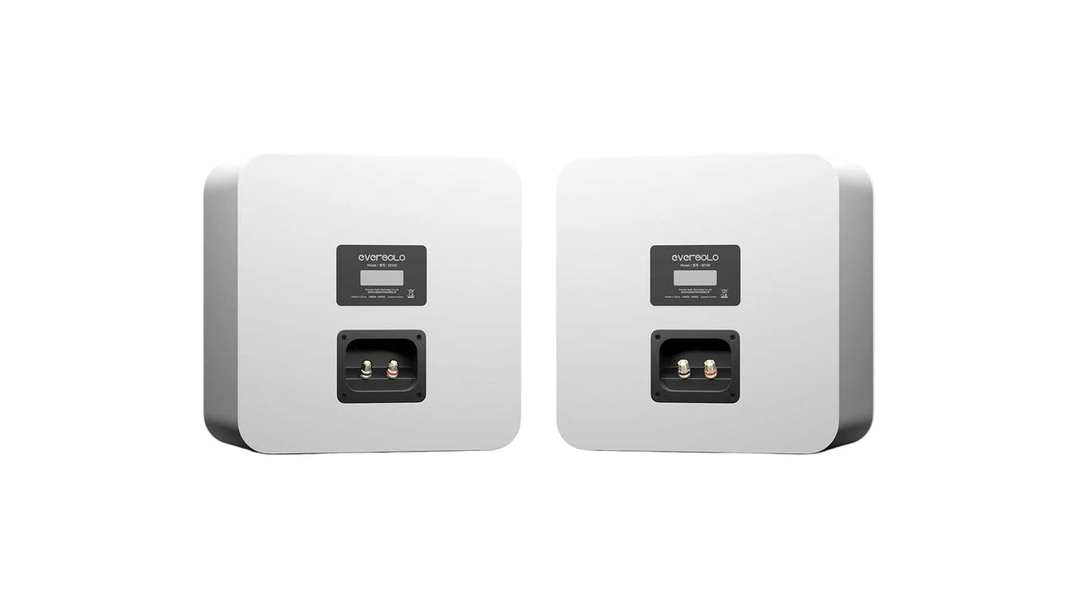Eversolo SE100 White, vista posteriore