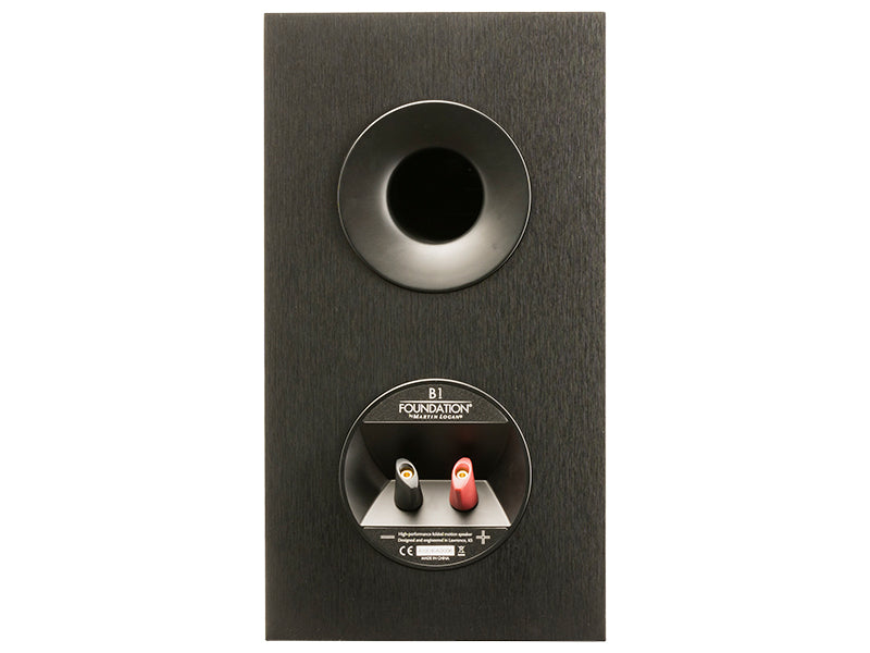 MartinLogan Foundation B1, vista posteriore