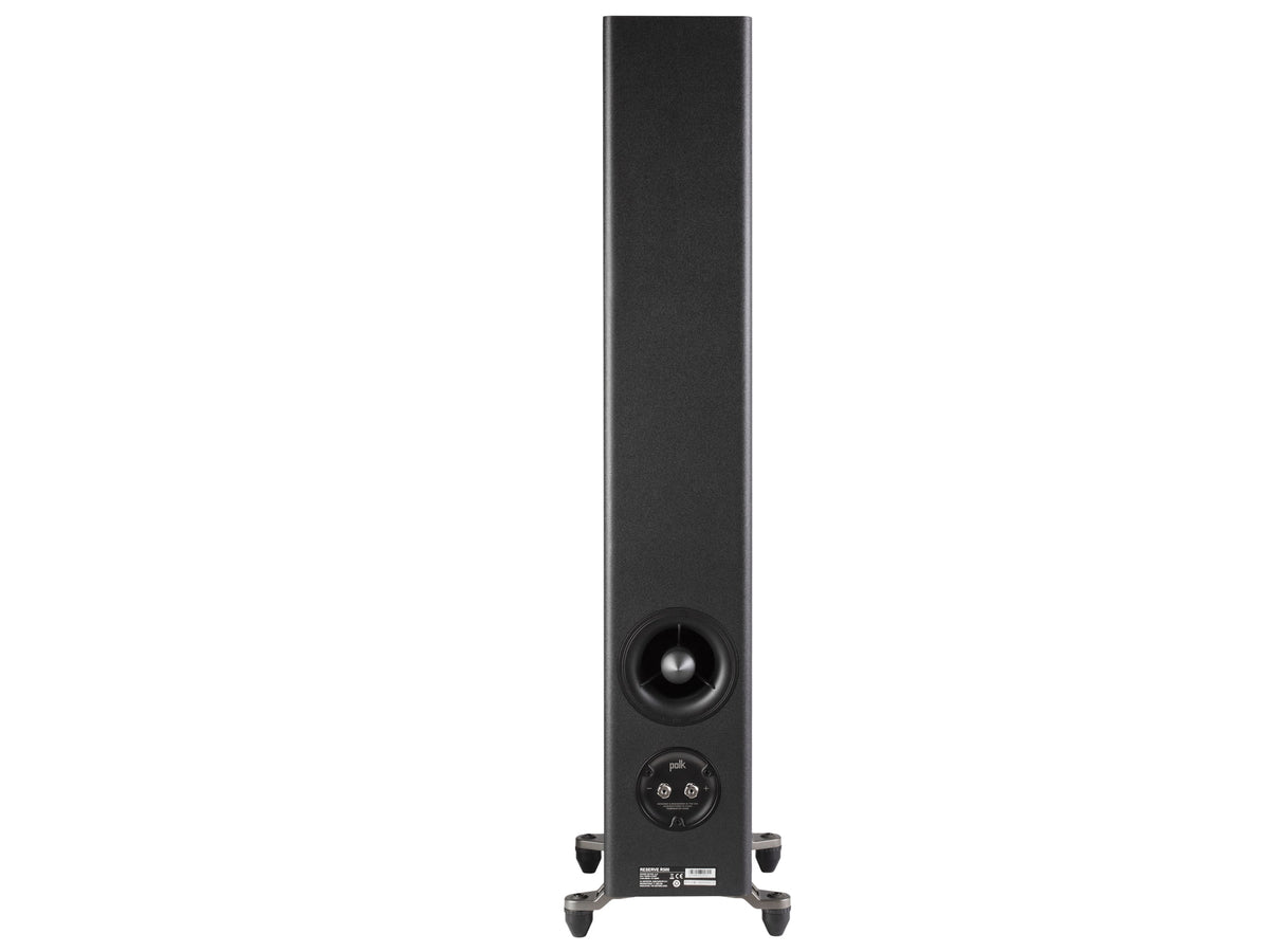 Polk Audio Reserve R500, vista posteriore