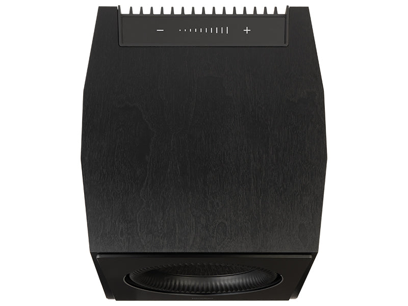 Paradigm XR13