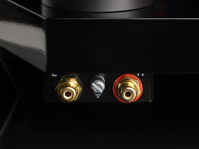 Pro-Ject AC/DC Turntable