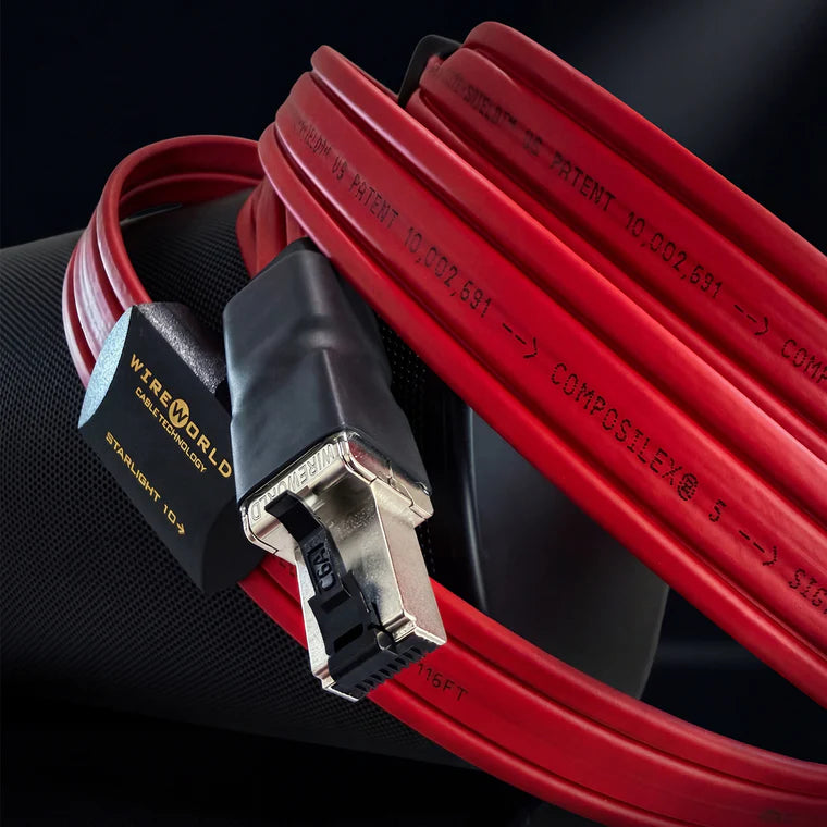 Wireworld Starlight 10 Twinax