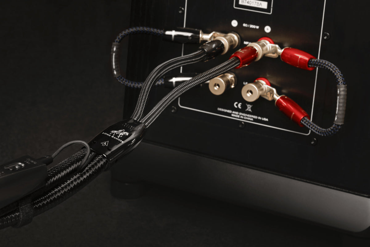 AudioQuest Lone Ranger Full-Range — immagine 4