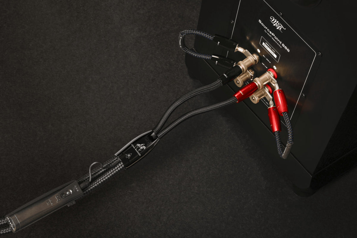 AudioQuest Lone Ranger Full-Range — immagine 5