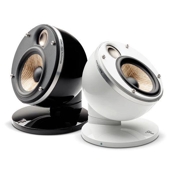 Focal Dome Flax 1.0, dettaglio