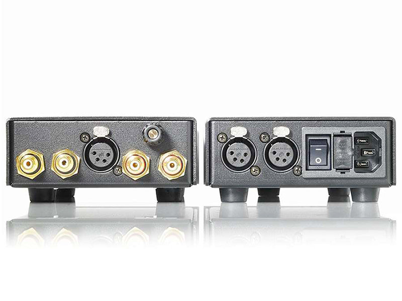 Lehmannaudio Decade Jubilee, vista posteriore