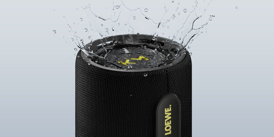 Loewe We. HEAR pro, dettaglio
