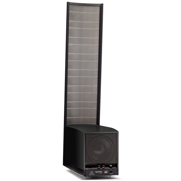 MartinLogan Expression ESL 13A, vista posteriore