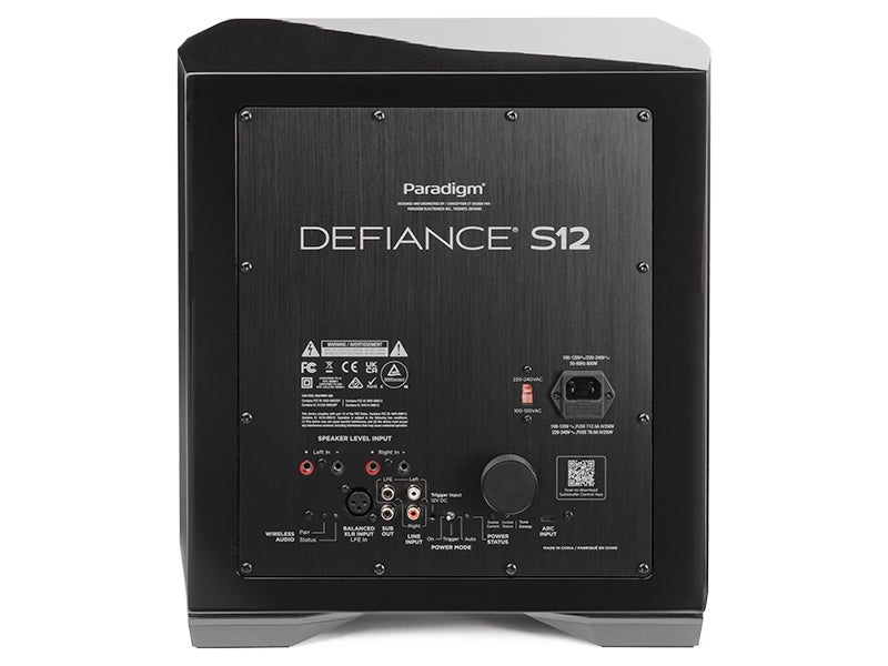 Paradigm Defiance S12, vista posteriore