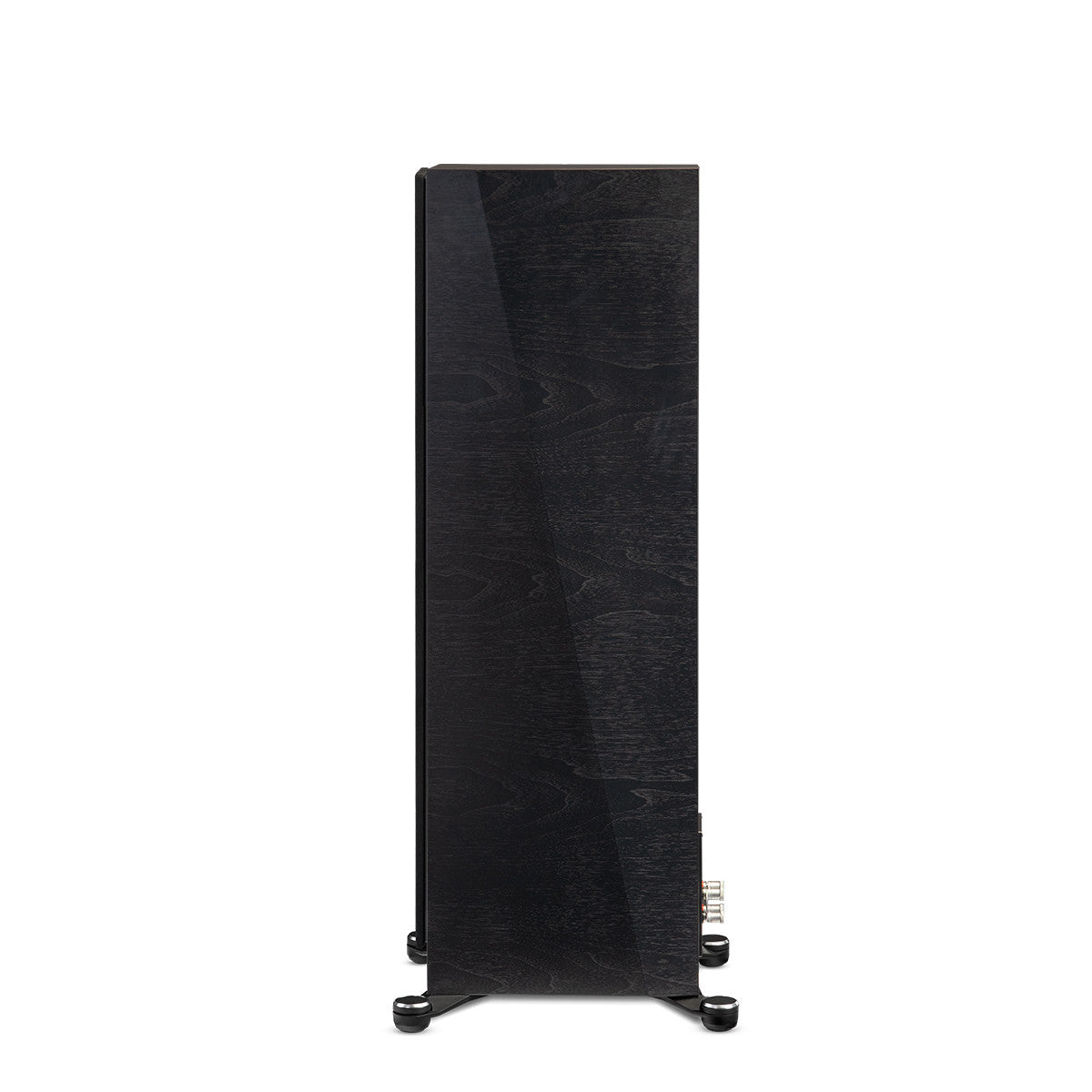 Paradigm Founder 100F, Vista laterale Finitura Noce scuro