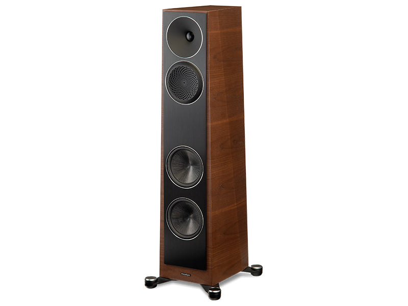 Paradigm Founder 80F, Noce chiaro