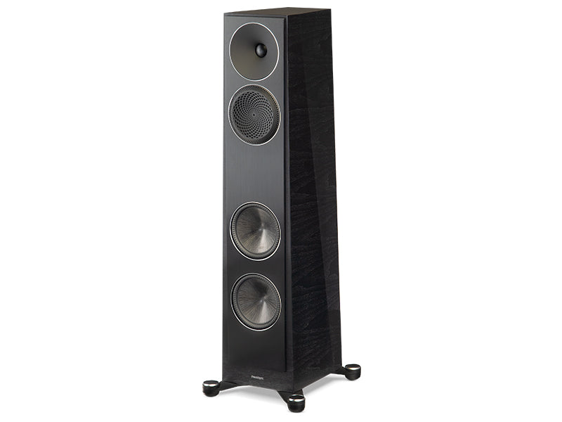 Paradigm Founder 80F, Noce scuro