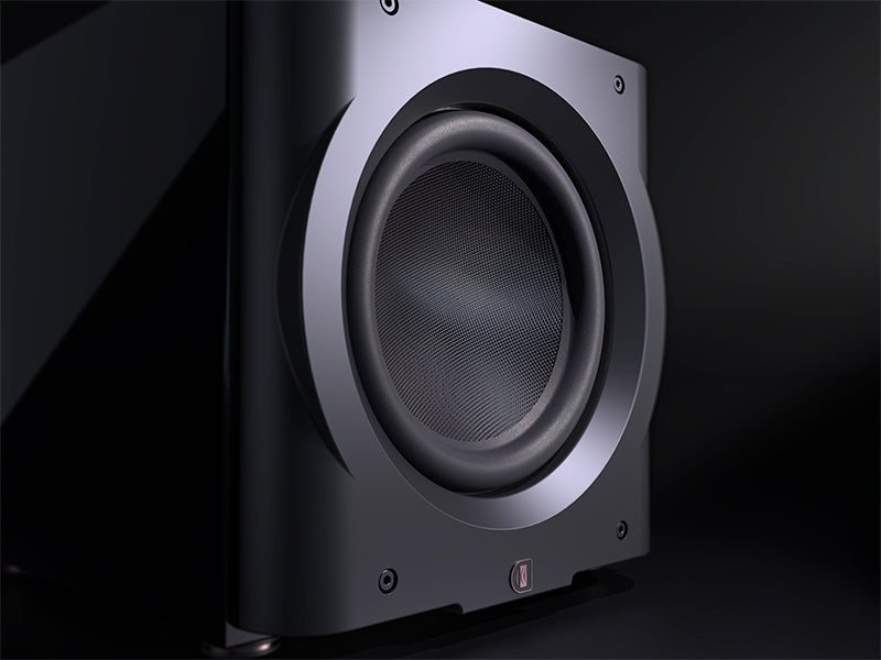 Perlisten D12s — Dettaglio