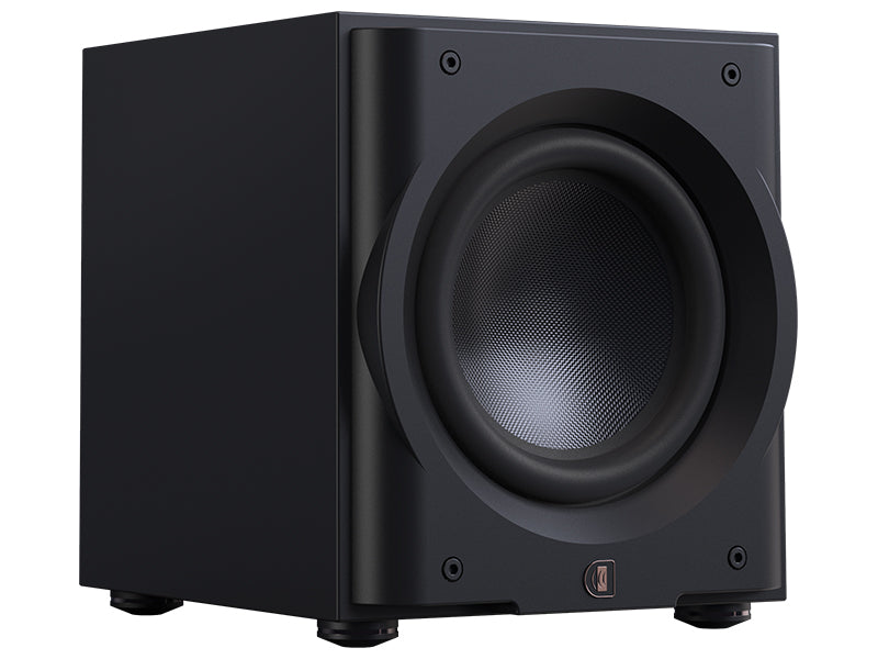 Perlisten R10s — Dettaglio