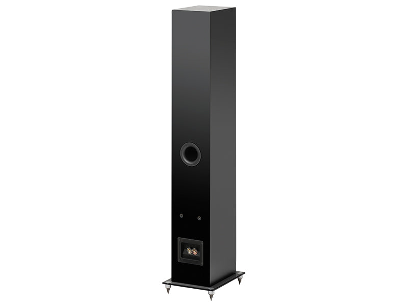 Pro-Ject Speaker Box 10 E Carbon, vista posteriore