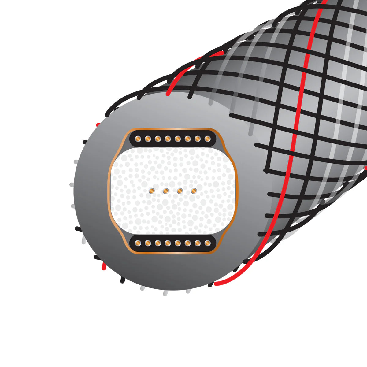 Wireworld SILVER STARLIGHT 10