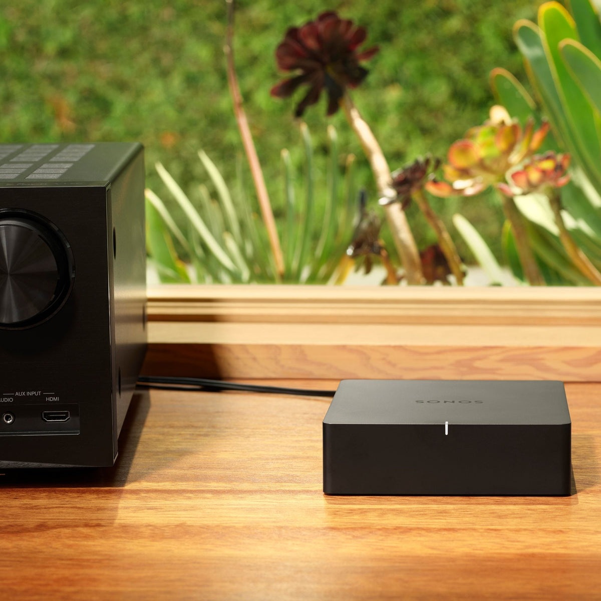 Sonos Port, foto ambientata