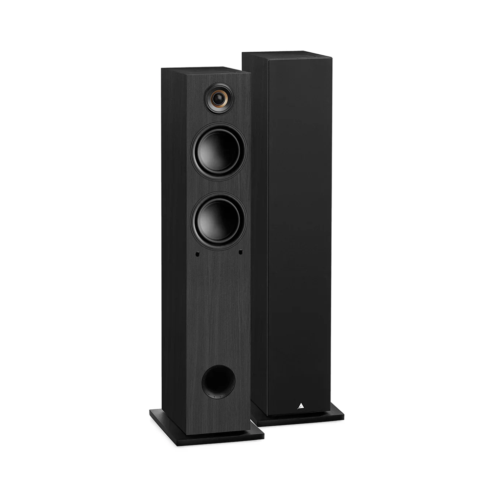 Triangle LN05A, Quercia Nero