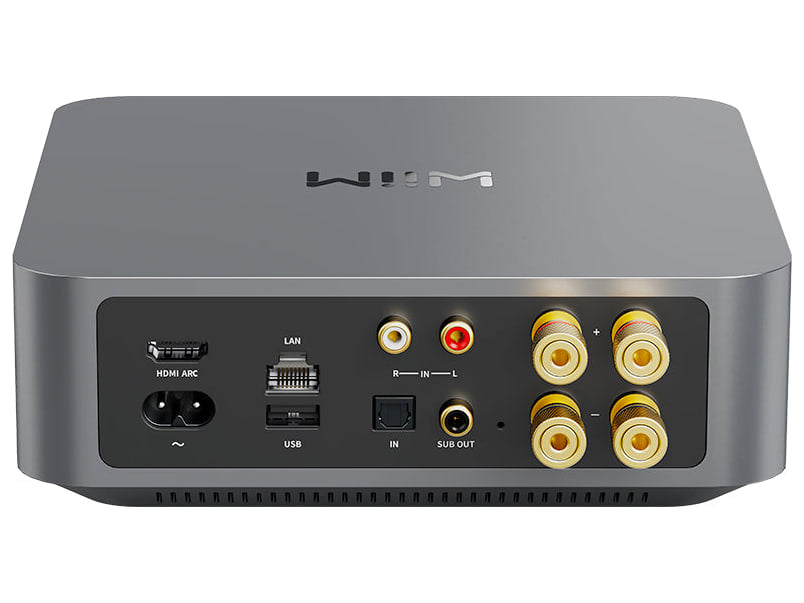 WiiM Amp Pro — Vista posteriore