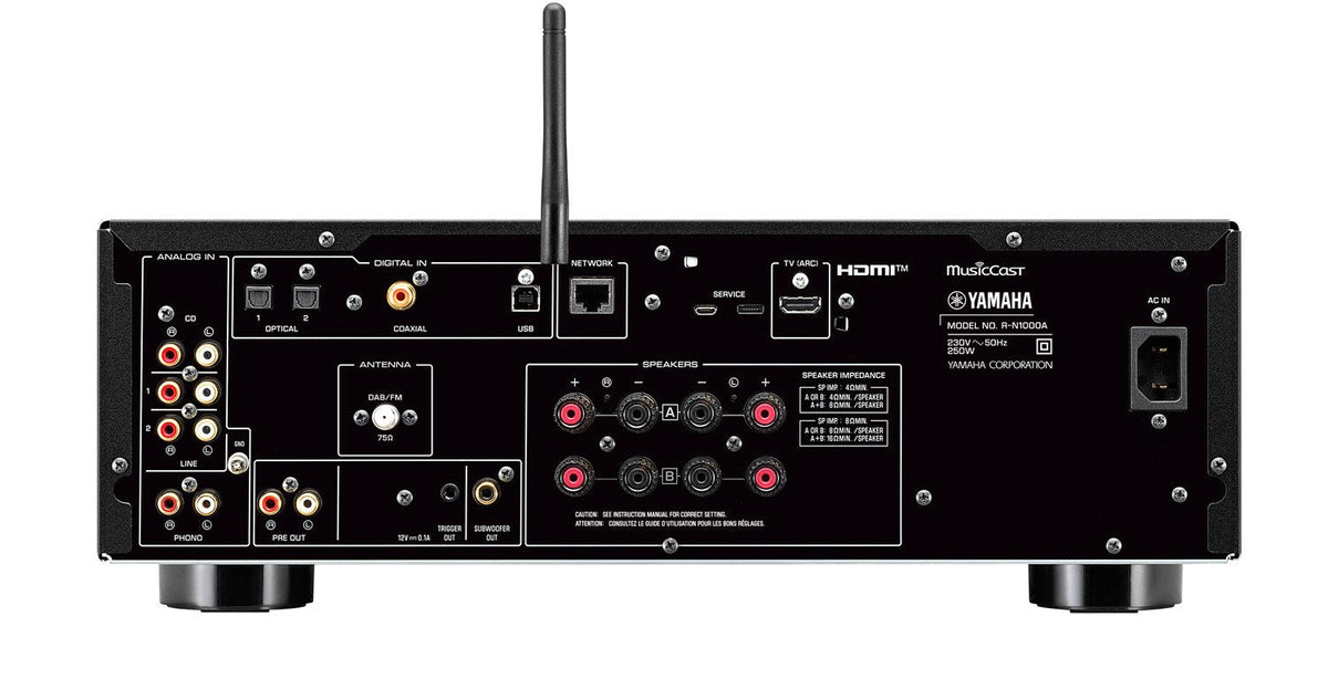 Yamaha RN1000A — Vista posteriore